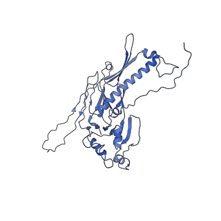 36848_8k39_D_v1-1
Structure of the bacteriophage lambda portal vertex