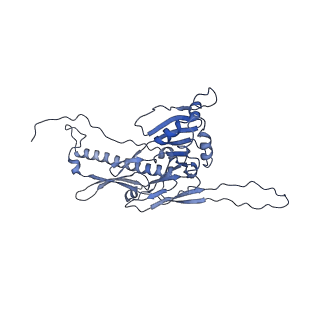 36848_8k39_E_v1-1
Structure of the bacteriophage lambda portal vertex