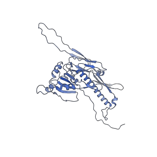 36848_8k39_F_v1-1
Structure of the bacteriophage lambda portal vertex