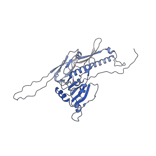 36848_8k39_G_v1-1
Structure of the bacteriophage lambda portal vertex