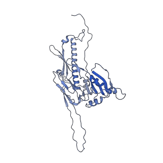 36848_8k39_H_v1-1
Structure of the bacteriophage lambda portal vertex