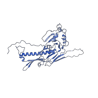 36848_8k39_I_v1-1
Structure of the bacteriophage lambda portal vertex