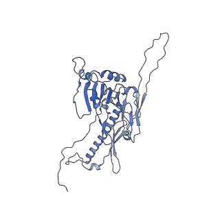 36848_8k39_J_v1-1
Structure of the bacteriophage lambda portal vertex
