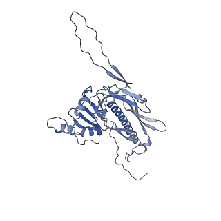 36848_8k39_K_v1-1
Structure of the bacteriophage lambda portal vertex