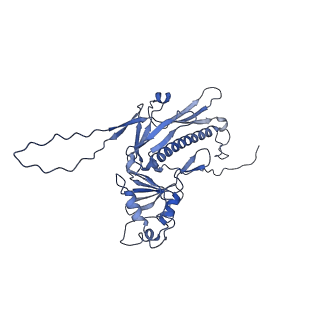 36848_8k39_L_v1-1
Structure of the bacteriophage lambda portal vertex