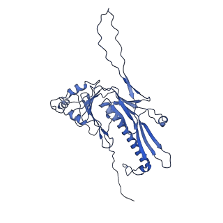 36848_8k39_M_v1-1
Structure of the bacteriophage lambda portal vertex