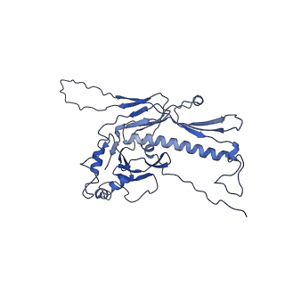 36848_8k39_N_v1-1
Structure of the bacteriophage lambda portal vertex