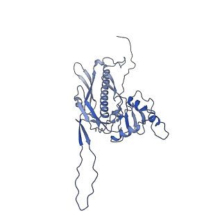36848_8k39_O_v1-1
Structure of the bacteriophage lambda portal vertex