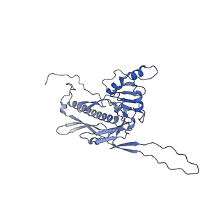 36848_8k39_P_v1-1
Structure of the bacteriophage lambda portal vertex