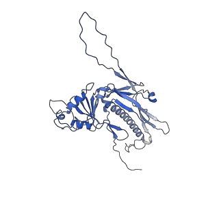 36848_8k39_Q_v1-1
Structure of the bacteriophage lambda portal vertex