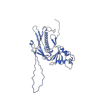 36848_8k39_R_v1-1
Structure of the bacteriophage lambda portal vertex