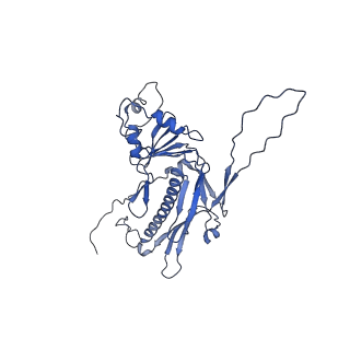 36848_8k39_T_v1-1
Structure of the bacteriophage lambda portal vertex