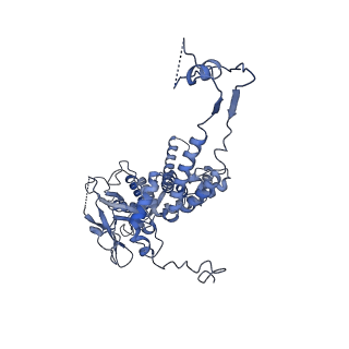 36848_8k39_U_v1-1
Structure of the bacteriophage lambda portal vertex