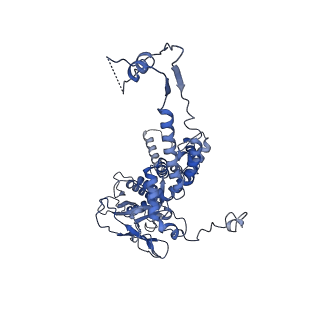 36848_8k39_V_v1-1
Structure of the bacteriophage lambda portal vertex