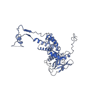 36848_8k39_X_v1-1
Structure of the bacteriophage lambda portal vertex