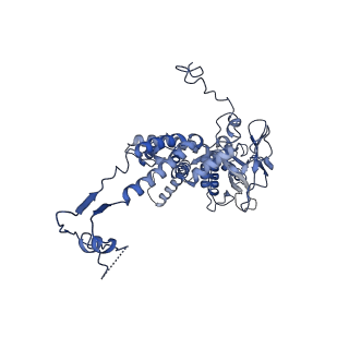 36848_8k39_Z_v1-1
Structure of the bacteriophage lambda portal vertex
