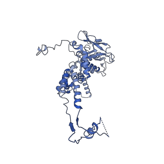 36848_8k39_b_v1-1
Structure of the bacteriophage lambda portal vertex