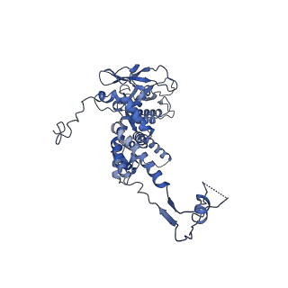 36848_8k39_c_v1-1
Structure of the bacteriophage lambda portal vertex