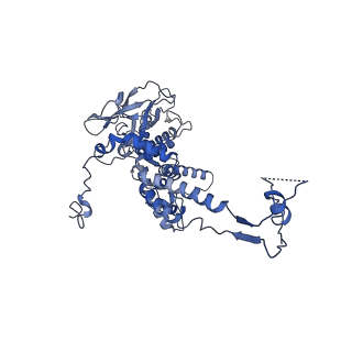 36848_8k39_d_v1-1
Structure of the bacteriophage lambda portal vertex