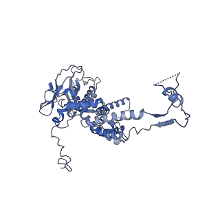 36848_8k39_e_v1-1
Structure of the bacteriophage lambda portal vertex