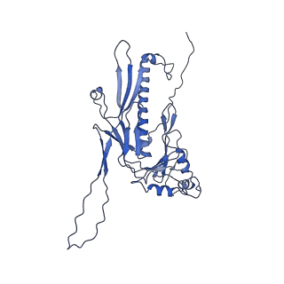 36848_8k39_g_v1-1
Structure of the bacteriophage lambda portal vertex