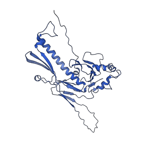 36848_8k39_h_v1-1
Structure of the bacteriophage lambda portal vertex