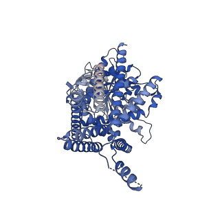 36855_8k3p_A_v1-1
S. cerevisiae Chs1 in complex with polyoxin B