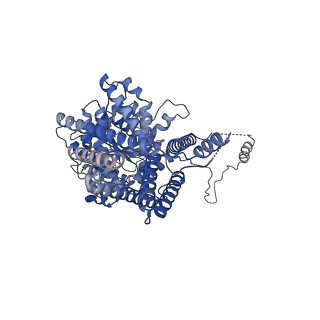36862_8k3v_B_v1-1
S. cerevisiae Chs1 in complex with UDP-GlcNAc