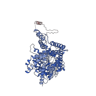 36864_8k3x_B_v1-1
S. cerevisiae Chs1 in complex with Nikkomycin Z