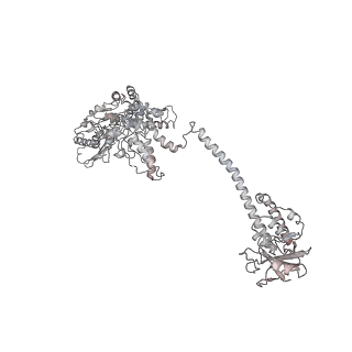 36867_8k3y_A_v1-1
The "5+1" heteromeric structure of Lon protease consisting of a spiral pentamer with Y224S mutation and an N-terminal-truncated monomeric E613K mutant