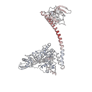 36867_8k3y_B_v1-1
The "5+1" heteromeric structure of Lon protease consisting of a spiral pentamer with Y224S mutation and an N-terminal-truncated monomeric E613K mutant