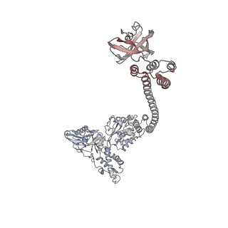 36867_8k3y_C_v1-1
The "5+1" heteromeric structure of Lon protease consisting of a spiral pentamer with Y224S mutation and an N-terminal-truncated monomeric E613K mutant