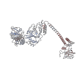 36867_8k3y_D_v1-1
The "5+1" heteromeric structure of Lon protease consisting of a spiral pentamer with Y224S mutation and an N-terminal-truncated monomeric E613K mutant