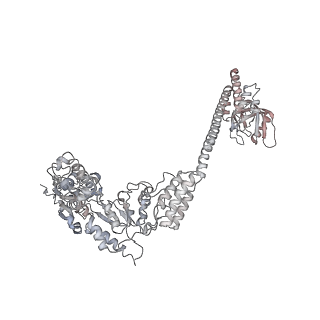 36867_8k3y_E_v1-1
The "5+1" heteromeric structure of Lon protease consisting of a spiral pentamer with Y224S mutation and an N-terminal-truncated monomeric E613K mutant
