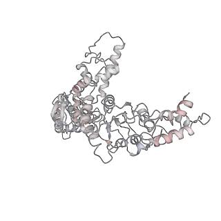 36867_8k3y_F_v1-1
The "5+1" heteromeric structure of Lon protease consisting of a spiral pentamer with Y224S mutation and an N-terminal-truncated monomeric E613K mutant