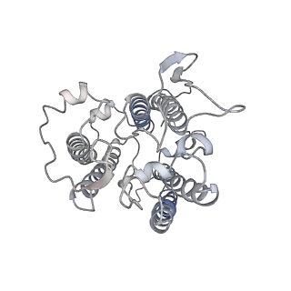 9908_6k33_a6_v1-1
Structure of PSI-isiA supercomplex from Thermosynechococcus vulcanus