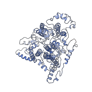 9908_6k33_aA_v1-1
Structure of PSI-isiA supercomplex from Thermosynechococcus vulcanus