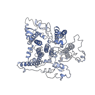 9908_6k33_bB_v1-1
Structure of PSI-isiA supercomplex from Thermosynechococcus vulcanus