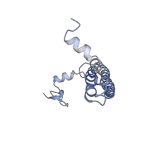 9908_6k33_bL_v1-1
Structure of PSI-isiA supercomplex from Thermosynechococcus vulcanus