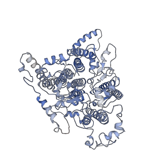 9908_6k33_cA_v1-1
Structure of PSI-isiA supercomplex from Thermosynechococcus vulcanus