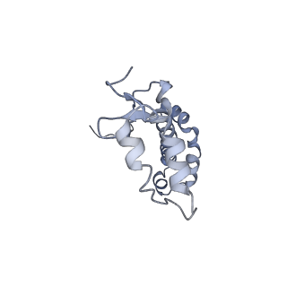9908_6k33_cF_v1-1
Structure of PSI-isiA supercomplex from Thermosynechococcus vulcanus