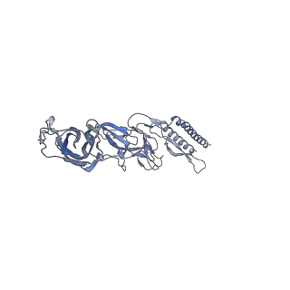 9909_6k3i_AA_v1-2
Salmonella hook in curved state - 66 subunit models