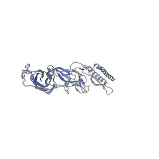 9909_6k3i_AA_v1-3
Salmonella hook in curved state - 66 subunit models