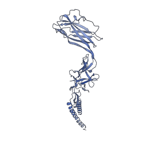 9909_6k3i_AD_v1-2
Salmonella hook in curved state - 66 subunit models