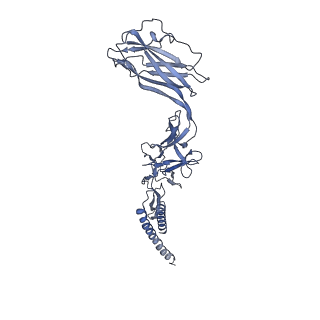 9909_6k3i_AD_v1-3
Salmonella hook in curved state - 66 subunit models