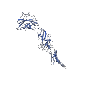 9909_6k3i_AE_v1-2
Salmonella hook in curved state - 66 subunit models