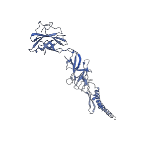 9909_6k3i_AE_v1-3
Salmonella hook in curved state - 66 subunit models