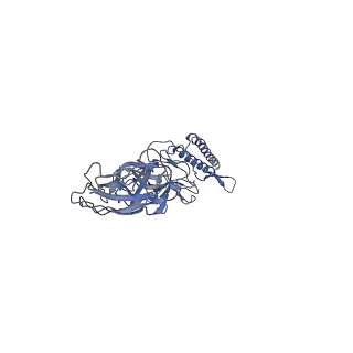 9909_6k3i_AG_v1-2
Salmonella hook in curved state - 66 subunit models