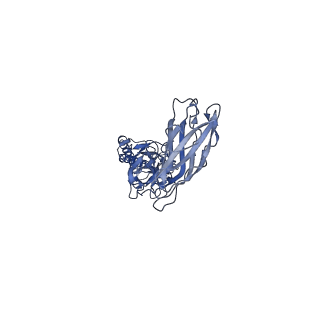 9909_6k3i_AH_v1-2
Salmonella hook in curved state - 66 subunit models