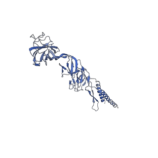 9909_6k3i_AK_v1-3
Salmonella hook in curved state - 66 subunit models